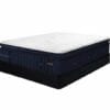 Reserve Collection - RE4 - Luxury Plush - Euro Pillow Top