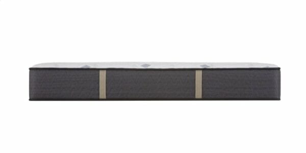 Golden Elegance - Etherial Gold - Plush - Image 6