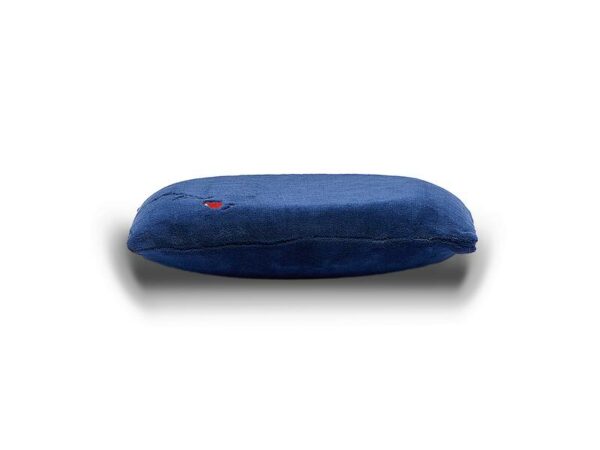 Travel Pillow