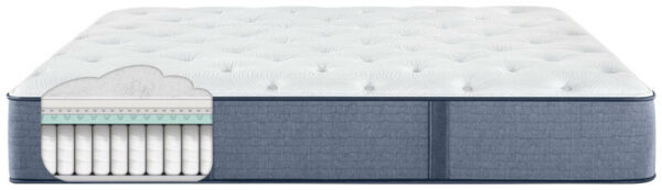Perfect Sleeper - Cozy Escape - Plush - Queen - Image 5