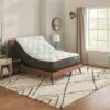 Beautyrest - Harmony - Cayman - Medium - Queen - Image 6