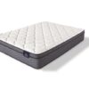 Sleep True - Malloy - Plush - Euro Top - Queen