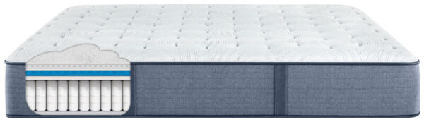 Perfect Sleeper - Renewed Night - Extra Firm - Queen - Image 5